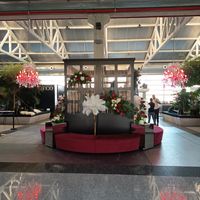 IMG_20251008_174435