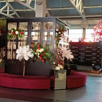 IMG_20251008_181500